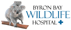 Byron Bay Wildlife Hospital Logo