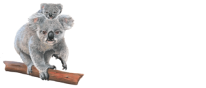 Byron Bay Wildlife Hospital White Logo